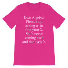 Dear Algebra t-shirt