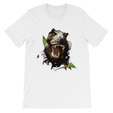 Dinosaur t-shirt