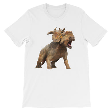 Dinosaur t-shirt