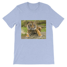 Endangered Species t-shirt