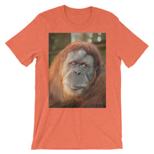 Endangered Species t-shirt