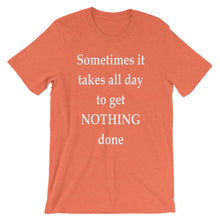 Sometimes it takes all day to get nothing done