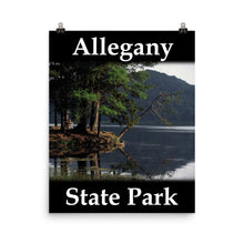 Allegany State Park poster