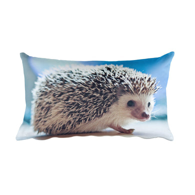 Hedgehog Pillow