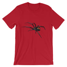 Black Widow Spider t-shirt