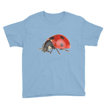 Ladybug Youth Short Sleeve T-Shirt