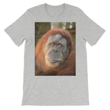 Endangered Species t-shirt