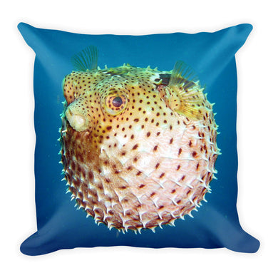 Puffer Pillow