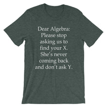 Dear Algebra t-shirt