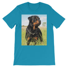 Rottweiler t-shirt