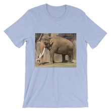 Endangered Species t-shirt