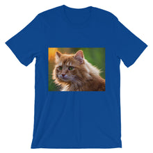 Cat t-shirt