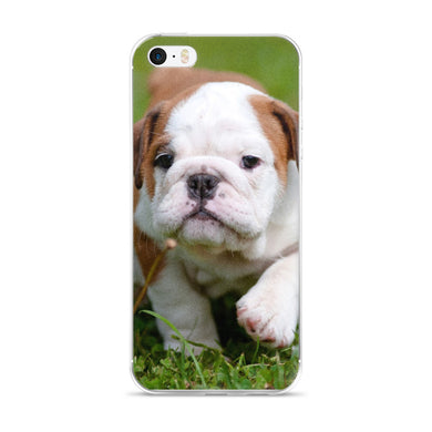 Puppy iPhone 5/5s/Se, 6/6s, 6/6s Plus Case