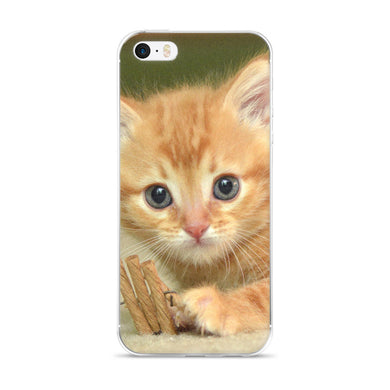 Kitten iPhone 5/5s/Se, 6/6s, 6/6s Plus Case