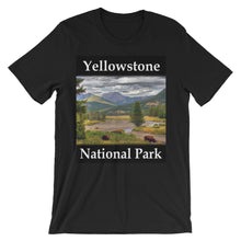 Yellowstone t-shirt