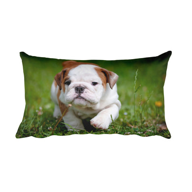Puppy Pillow