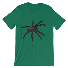 Tarantula t-shirt