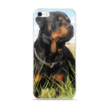 Rottweiler iPhone 5/5s/Se, 6/6s, 6/6s Plus Case
