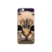 Cat iPhone 5/5s/Se, 6/6s, 6/6s Plus Case