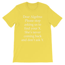 Dear Algebra t-shirt