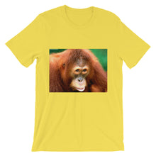 Endangered Species t-shirt