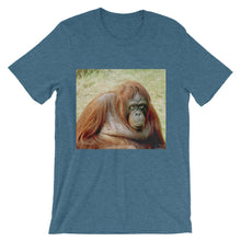 Endangered Species t-shirt