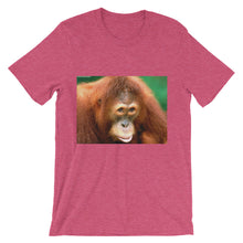 Endangered Species t-shirt