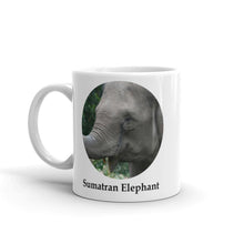 Sumatran Elephant Mug