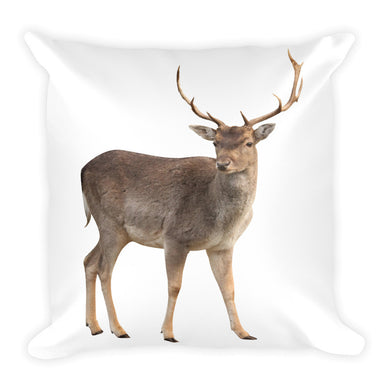 Buck Pillow