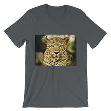 Leopard t-shirt