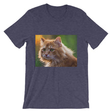 Cat t-shirt