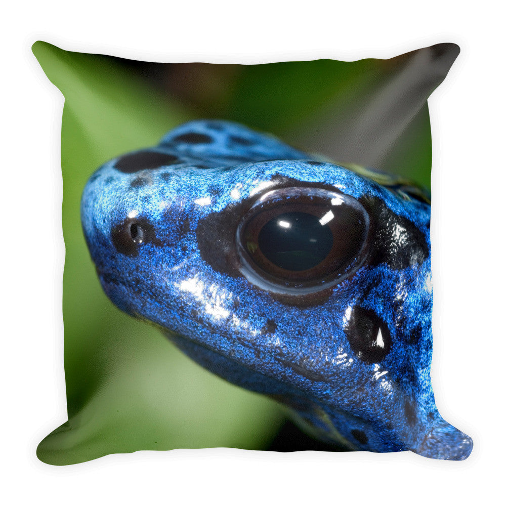 Frog Pillow