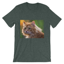 Cat t-shirt