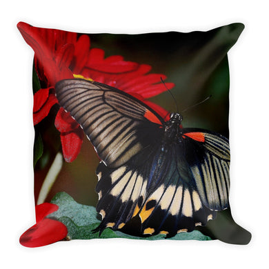 Butterfly Pillow