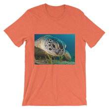 Endangered Species t-shirt