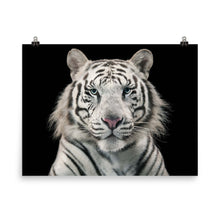 White Tiger poster