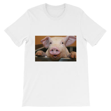 Pig t-shirt