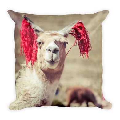 Peruvian Llama Pillow