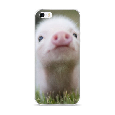 Piglet iPhone 5/5s/Se, 6/6s, 6/6s Plus Case