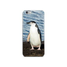 Penguin iPhone 5/5s/Se, 6/6s, 6/6s Plus Case