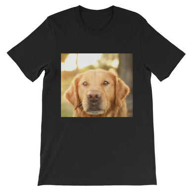 Dog t-shirt