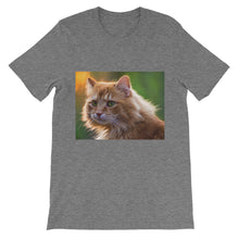 Cat t-shirt