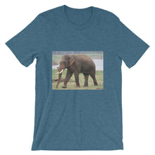Endangered Species t-shirt