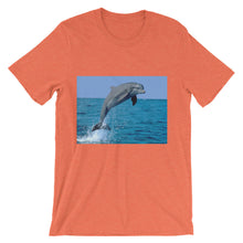Dolphin t-shirt
