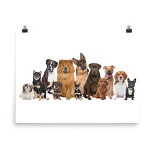 Dog Family Reunion poster