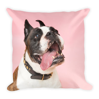 Boxer Pillow