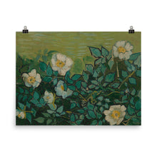 Van Gogh poster