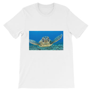 Turtle t-shirt