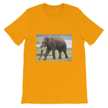 Endangered Species t-shirt