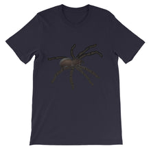 Tarantula t-shirt